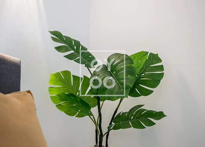 Infinity Blue Groundfloor Apt, Beachfront, Heated Pool - By Oyoostays Appartamento Torrevieja