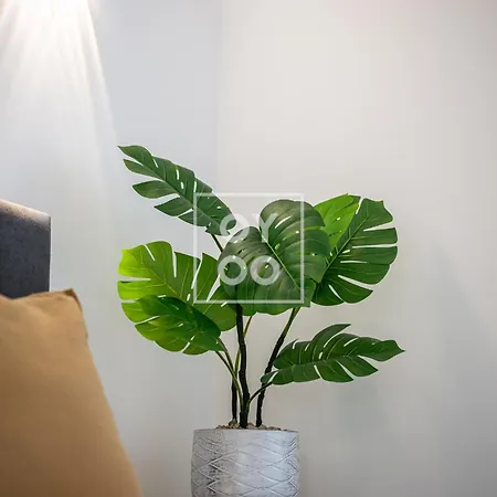 Infinity Blue Luxury Flat By Oyoostays Apartament Torrevieja